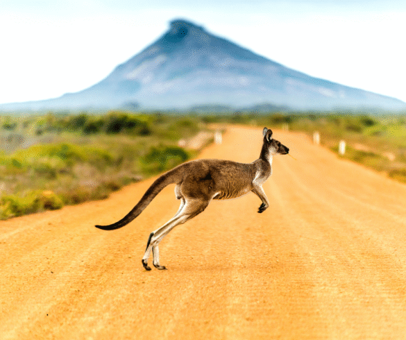 Vakantie naar Australië