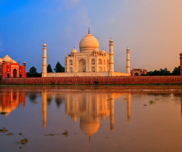 reis door india